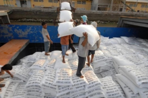 Đấu thầu lại hơn 180.000 tấn gạo dự trữ quốc gia