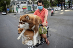 Tạm dừng giãn cách xã hội nhờ kiểm soát tốt dịch bệnh, Việt Nam tiếp tục được báo Anh ca ngợi là điển hình thành công của thế giới