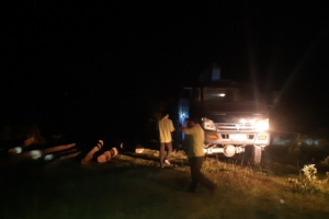 Hà Tĩnh: “Lâm tặc” tập kết gỗ la liệt dưới nghĩa trang