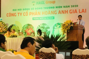 Bầu Đức: Nếu tôi không quyết liệt thì không có HAGL hôm nay, chắc chắn sẽ mua lại cổ phần để tăng sở hữu tại công ty nông nghiệp