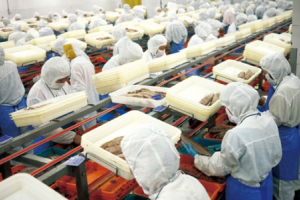 Hà Nội xử lý 4 cơ sở vi phạm an toàn thực phẩm