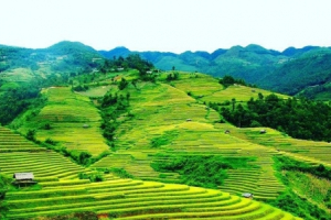 Quảng Ninh: Lần đầu tổ chức Hội mùa vàng ở Bình Liêu