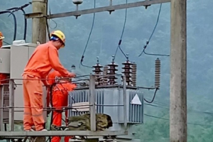 Chuyện lạ đấu thầu tại Điện lực Gia Lâm: 2 gói thầu lớn có dấu hiệu gian lận