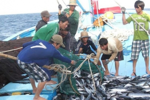 Nâng cao năng lực quản lý chất lượng, đảm bảo vệ sinh thực phẩm nông lâm thủy sản