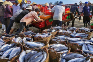 Doanh nghiệp thủy sản chờ “cú hích” EVFTA