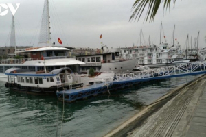 Hơn 100 hộ kinh doanh tàu du lịch Quảng Ninh xin tạm dừng hoạt động