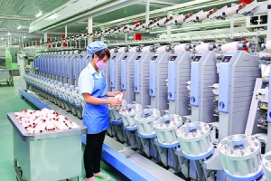 Việt Nam tiếp tục tập trung thực hiện “mục tiêu kép”