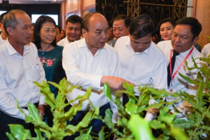 Thủ tướng Nguyễn Xuân Phúc: Mắc ca Việt Nam có thể ‘đi sau, về trước’ để đứng đầu