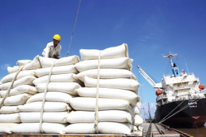 Nông nghiệp Việt Nam "hưởng lợi" từ đại dịch