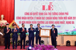 Phó Thủ tướng: Lý Nhân cần phấn đấu đạt chuẩn nông thôn mới nâng cao
