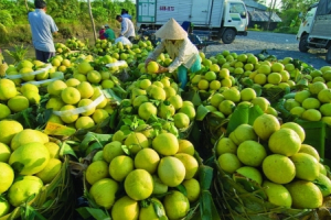 Rộng đường xuất nhập khẩu nhờ Cơ chế một cửa ASEAN