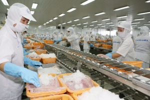 Hỗ trợ doanh nghiệp gia tăng thị phần xuất khẩu
