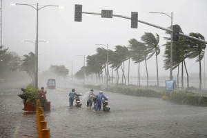 Đà Nẵng: Chủ động ứng phó bão số 9, yêu cầu người dân không ra đường