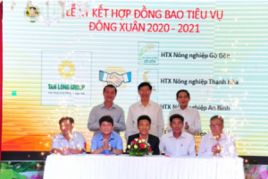 Tổ chức nông dân - Cầu nối vững chắc giữa nông dân và doanh nghiệp
