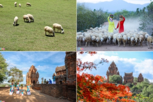 Những khoảnh khắc đẹp ở miền duyên hải