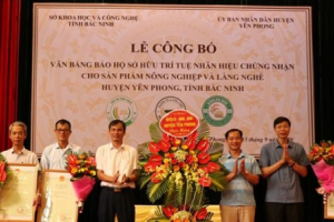Bắc Ninh có 19 sản phẩm nông nghiệp được bảo hộ sở hữu trí tuệ