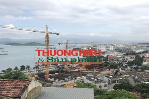 Dự án Green Diamond Hạ Long: 'Hiện nay CĐT có tiếp nhận và tư vấn một số thông tin liên quan dự án'