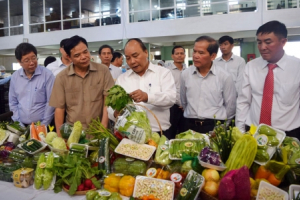 Nông nghiệp công nghệ cao Đức Trọng - những bước tiến bền vững
