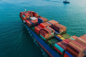 Gạo, tôm xuất sang EU tiếp tục tăng trưởng