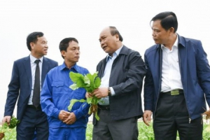 Thủ tướng Nguyễn Xuân Phúc: Tự lực tự cường, thúc đẩy mạnh mẽ các động lực tăng trưởng