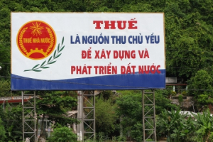 Thuế phải nộp của hộ kinh doanh cá thể - Kỳ 1: Hiện trạng chung