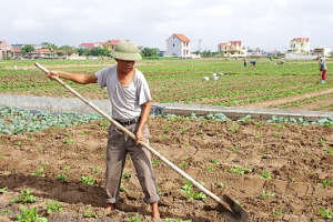 Phát triển mô hình nông nghiệp không chất thải