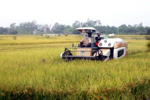 Vĩnh Phúc: Thúc đẩy ngành nông nghiệp phát triển theo hướng hiện đại