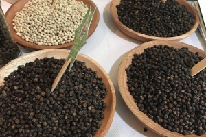 Xuất khẩu hồ tiêu: Bộ Công thương dự báo khả quan