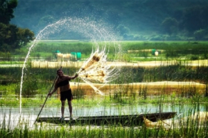 Phê duyệt đề án Xây dựng hệ thống cơ sở dữ liệu liên ngành đồng bằng sông Cửu Long