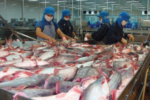 Xuất khẩu cá tra: Cơ cấu thị trường thay đổi, dự báo tích cực