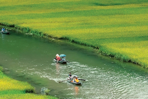 Liên kết để vớt vát mùa du lịch ảm đạm