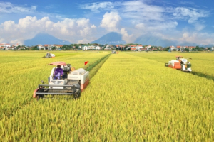 Xây dựng nông thôn mới không thể thiếu vai trò của các hợp tác xã