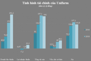 Tiềm lực tài chính của đại gia Mai Hữu Tín