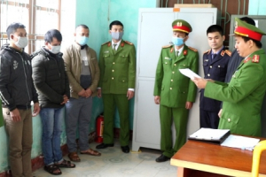 Quảng Bình: Khởi tố vụ án, tạm giam các đối tượng vụ phá rừng và khai thác gỗ quý hiếm với quy mô lớn