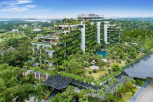 Flamingo và những niềm tự hào quốc tế