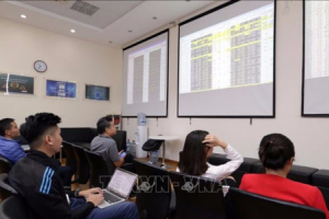 Nhận diện kênh đầu tư năm 2021: Cơ hội trong rủi ro