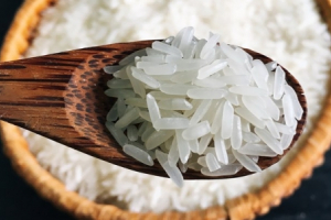 Nghiên cứu quy trình để giống gạo ST thành thương hiệu gạo thơm Việt Nam