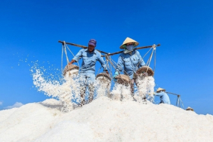 “Nghề làm muối ở Bạc Liêu” được công nhận là Di sản văn hóa phi vật thể quốc gia