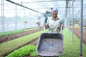 Phấn đấu đến 2025, cả nước có hơn 3.000 hợp tác xã ứng dụng công nghệ cao