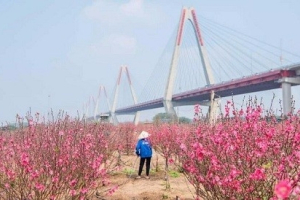 Cấp phép xây dựng có thời hạn nhà ở riêng lẻ ngoài bãi sông Hồng