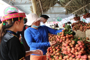 Sản phẩm đầu tiên của Việt Nam được bảo hộ chỉ dẫn địa lý tại Nhật