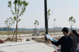 Dòng tiền sẽ đổ về đâu sau cơn sốt đất?