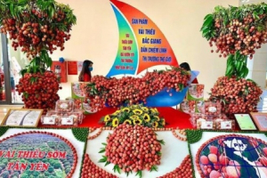 Bơ Đắk Lắk, khoai tím Vĩnh Long... cùng nhiều đặc sản lên sàn thương mại điện tử