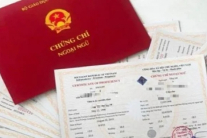 Cắt giảm các chứng chỉ phải gắn với nâng cao chất lượng đào tạo, bồi dưỡng cán bộ
