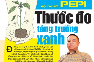 Bộ chỉ số PEPI - Thước đo tăng trưởng xanh