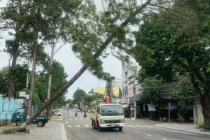 Mất điện hơn 5 giờ, Điện lực Pleiku nói gì?