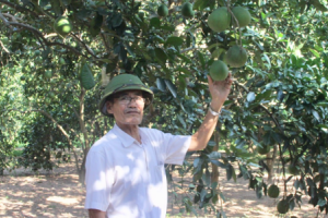 Người cựu chiến binh phát triển kinh tế gia đình từ mô hình trang trại