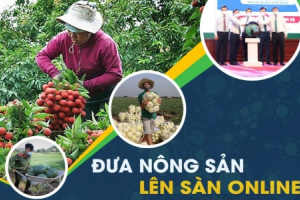 Giúp các hộ nông dân tham gia sàn thương mại điện tử