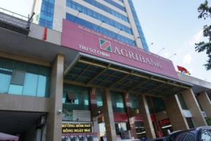 Agribank hạ giá, thanh lý khoản nợ thế chấp bằng thuỷ điện Bắc Giang