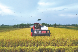 Đường đi cho nông - lâm - thủy sản năm 2021